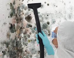 Best Comprehensive Air Testing for Mold Contaminants  in Becker, MN